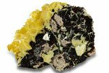 Lustrous Bright Yellow Wulfenite on Dolomite - Morocco #258042-1